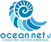 Ocean net