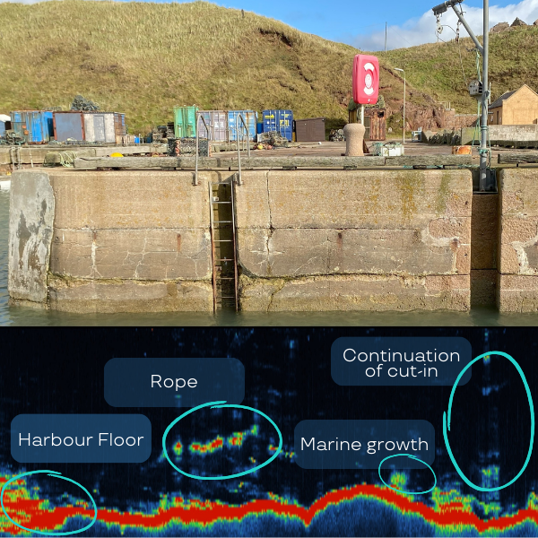 ISA500 - Echogram app in seaView software. Underwater imaging
