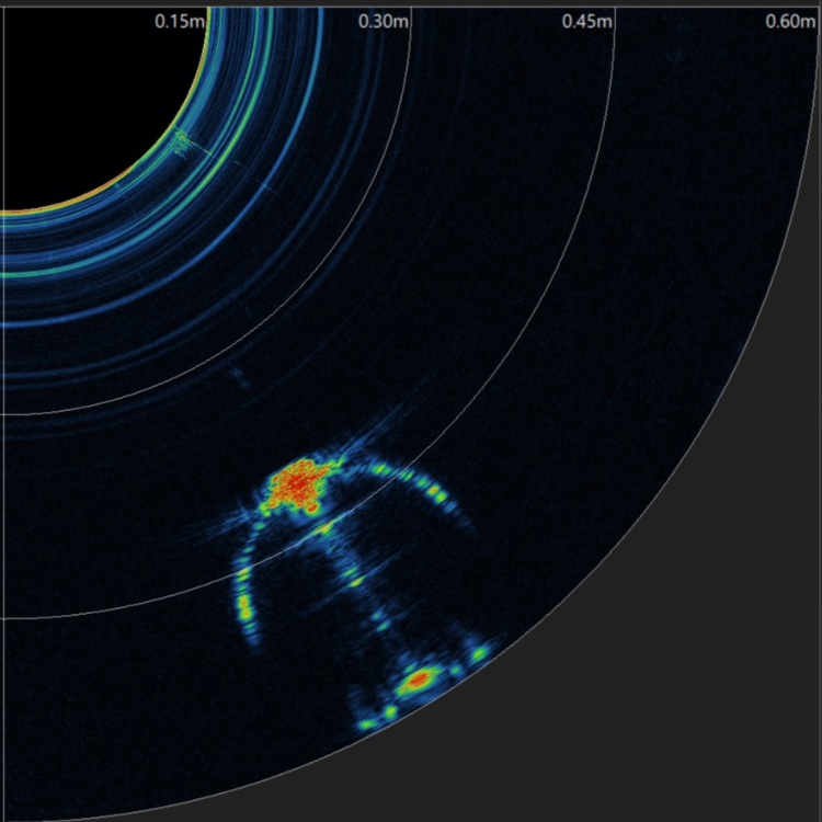 Raw sonar imagery
