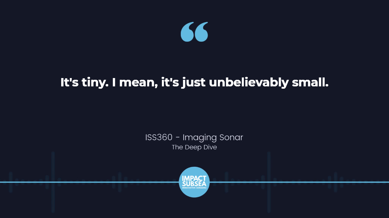 Underwater Visibility ISS360 Imaging Sonar